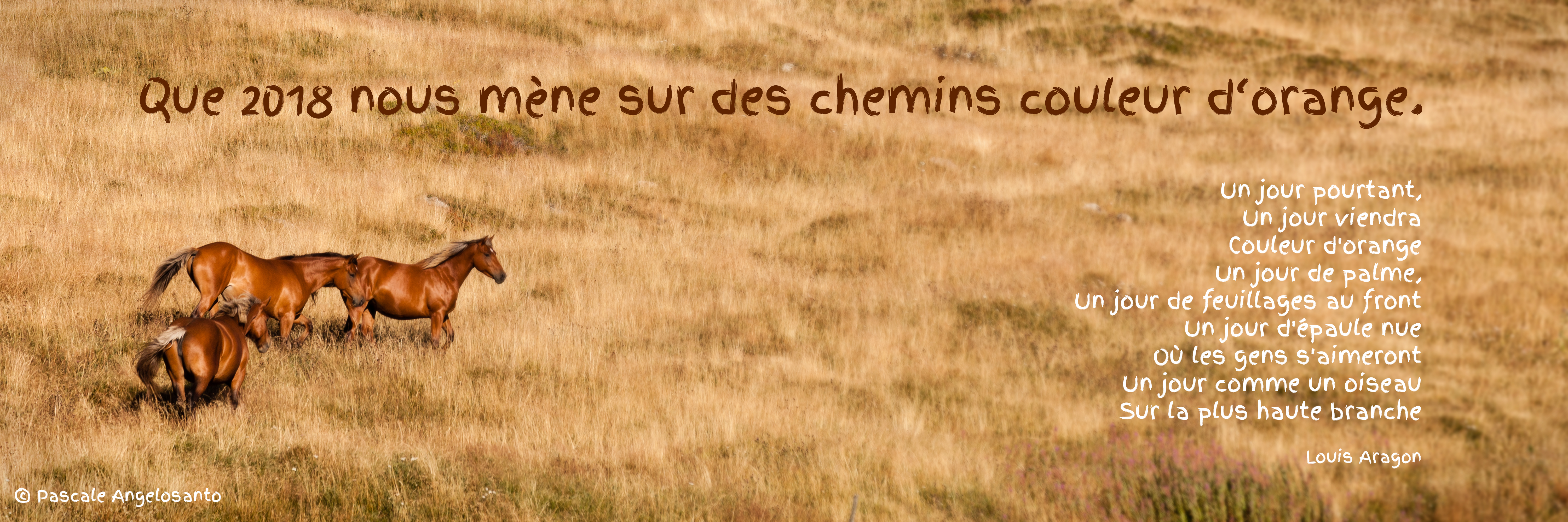 Vœux 2018 Vœux 2018